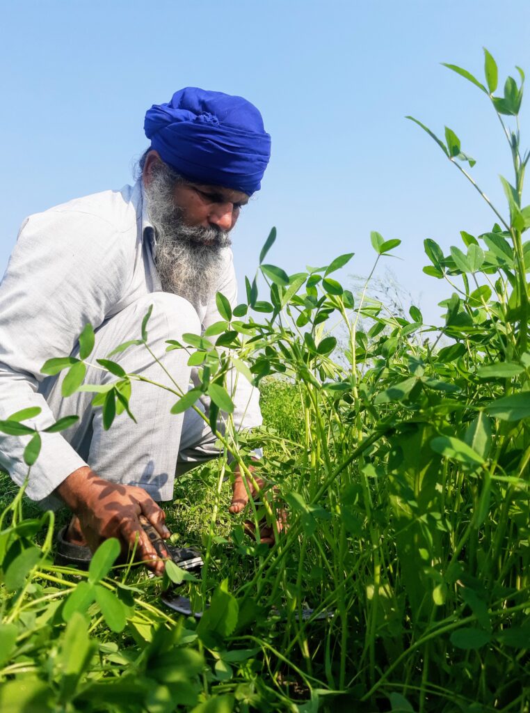 Climate Proofing Agriculture Building Resilience In Agriculture And