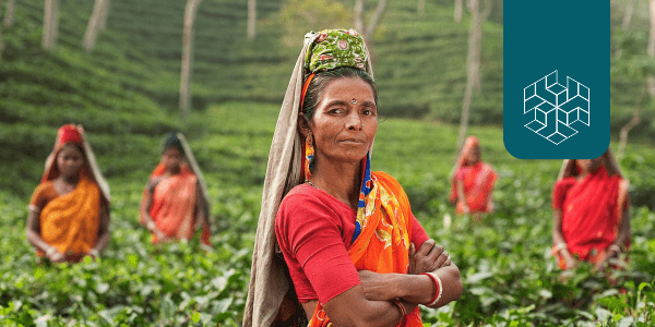 Why Gender Matters: Climate Change and Agriculture in India