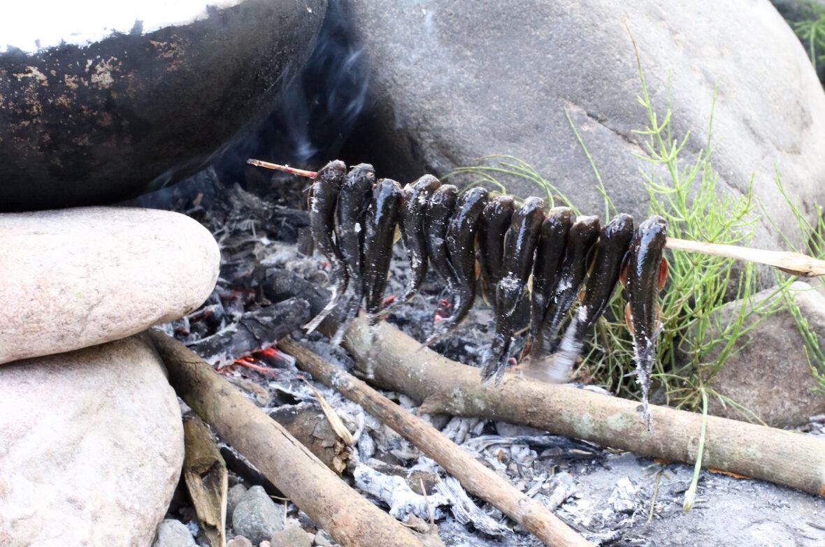 11 varieties of indigenous fish are found in a river that flows below Nongtraw. Communities use baskets to catch the fish, and fishing is regulated by village rules.