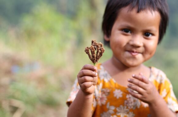 Khonglam’s daughter poses with finger millet, a nutritious grain that is packed with protein and minerals. Mentoring the next generation of indigenous farmers and revitalizing pride in traditional farming is an important priority for advocacy groups like NESFAS.