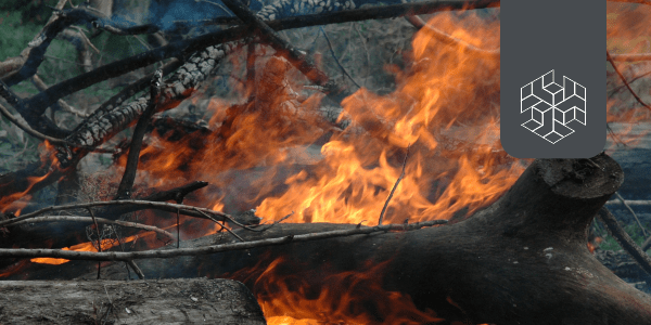 Stubble Burning In North India: Defogging the Facts