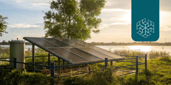 Can Solar Irrigation Pumps Transform Indian Agriculture?