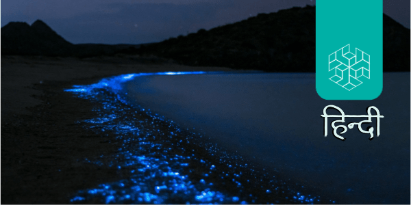 नीली समुद्री चमक या ब्लू सी स्पार्कल : ग्लोबल वॉर्मिंग और भारतीय समुद्री परितंत्र