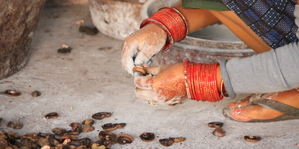 Ashy Hands: Inside Ganjam’s Cashew Factories