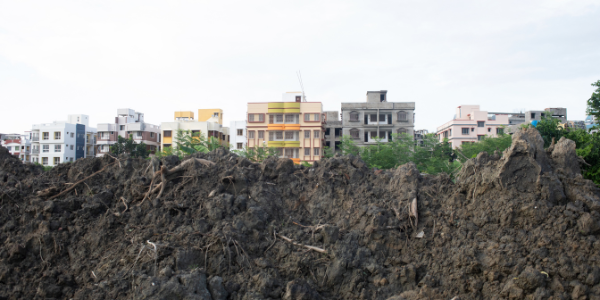 A Natural Fight: Ecological Impact of Urbanisation on Landscapes of Kolkata