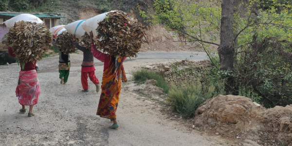 Women’s Experiences of Climate Change: Notes from a Village in Rural Nainital