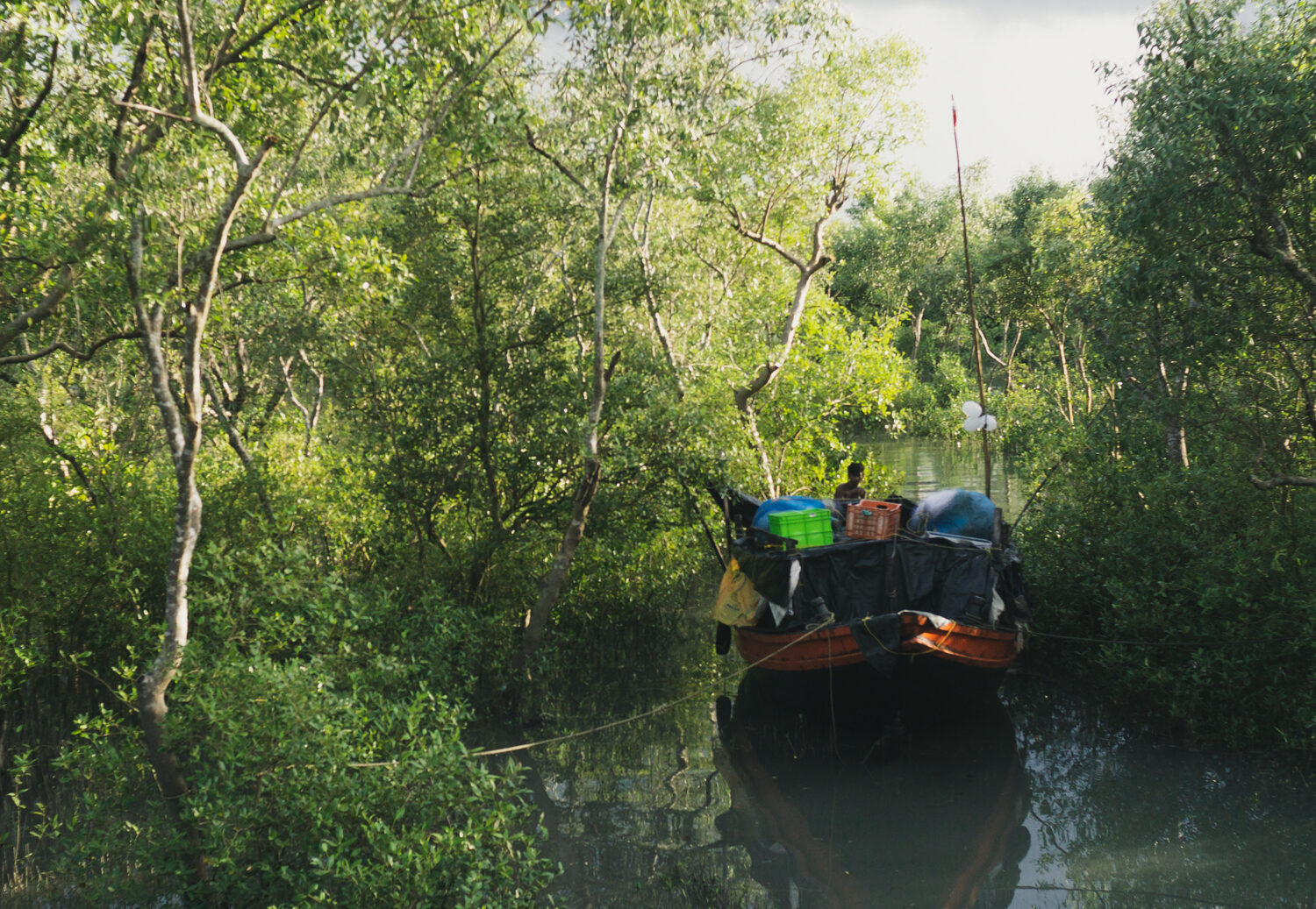 A fisher navigates his boat in the mangrove forest,
                                                                                                 prepared for a trip with all the essentials.