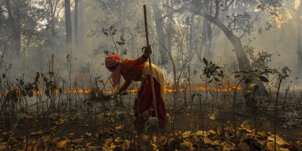 Up in Smoke—The Increasing Trend of Forest Fires in Uttarakhand