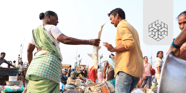 Understanding the Socioeconomic Conditions of Fisherwomen in the Fish Supply Chain of Northern Andhra Pradesh